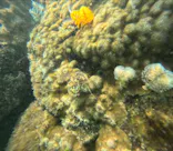 武藤潜水に投稿された画像（2023/10/1）