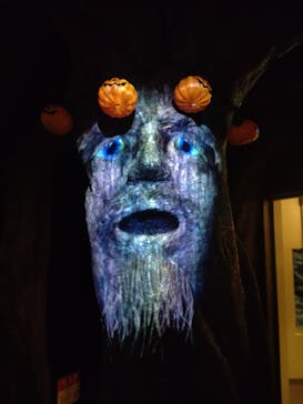 しながわ水族館に投稿された画像（2023/10/1）