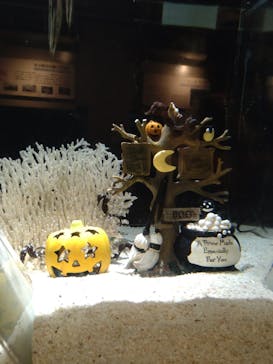 しながわ水族館に投稿された画像（2023/10/1）