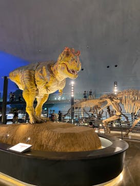 福井県立恐竜博物館に投稿された画像（2023/10/1）