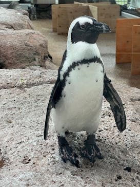 京都水族館に投稿された画像（2023/10/1）