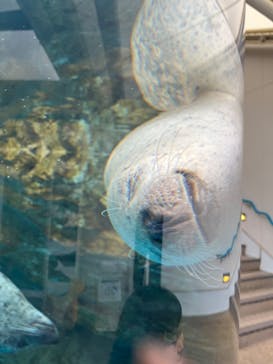 京都水族館に投稿された画像（2023/10/1）