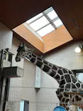 天王寺動物園に投稿された画像（2023/10/1）
