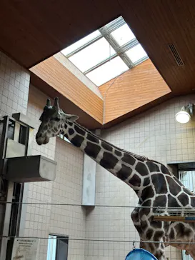 天王寺動物園に投稿された画像（2023/10/1）