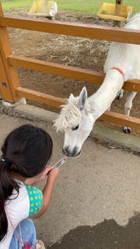 牧歌の里に投稿された画像（2023/10/1）