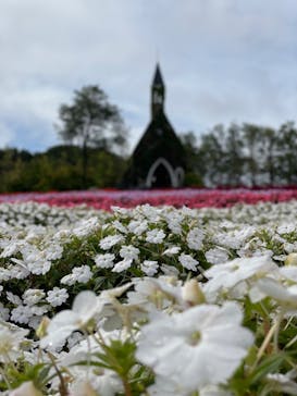 牧歌の里に投稿された画像（2023/10/1）