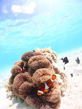 CHAMP TOUR　宮古島に投稿された画像（2023/10/1）