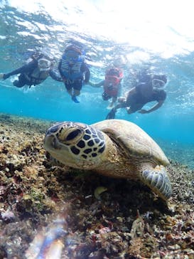 CHAMP TOUR　宮古島に投稿された画像（2023/10/1）