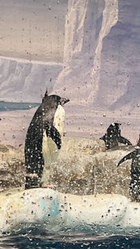 名古屋港水族館に投稿された画像（2023/10/1）