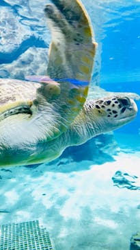 名古屋港水族館に投稿された画像（2023/10/1）