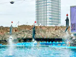 名古屋港水族館に投稿された画像（2023/10/1）