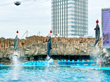 名古屋港水族館に投稿された画像（2023/10/1）