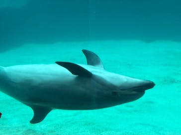 名古屋港水族館に投稿された画像（2023/10/1）
