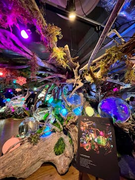 NARA IKIMONO MUSEUMに投稿された画像（2023/10/1）