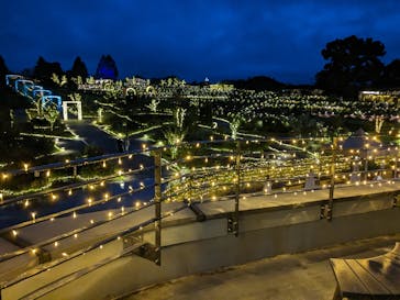 いばらきフラワーパークに投稿された画像（2023/10/1）