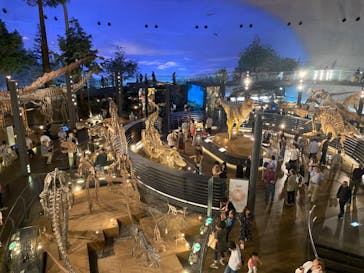 福井県立恐竜博物館に投稿された画像（2023/10/1）