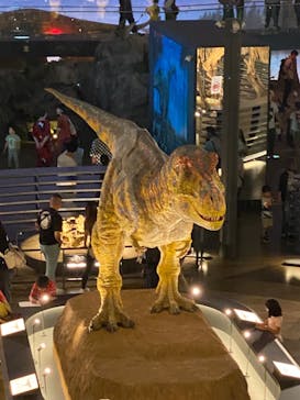 福井県立恐竜博物館に投稿された画像（2023/10/1）