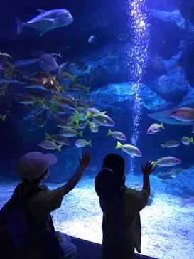 すみだ水族館に投稿された画像（2023/10/1）