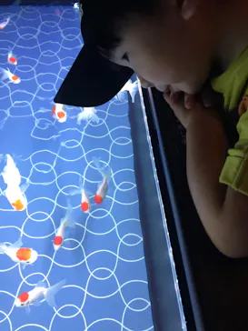 すみだ水族館に投稿された画像（2023/10/1）