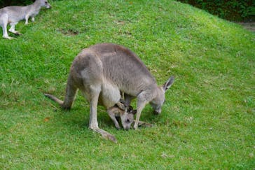 長崎バイオパークに投稿された画像（2023/10/1）