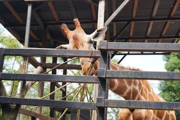 長崎バイオパークに投稿された画像（2023/10/1）