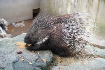 長崎バイオパークに投稿された画像（2023/10/1）