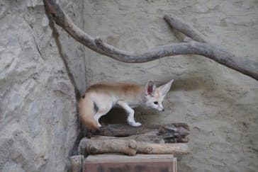 長崎バイオパークに投稿された画像（2023/10/1）