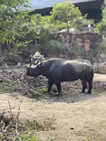 天王寺動物園に投稿された画像（2023/10/1）