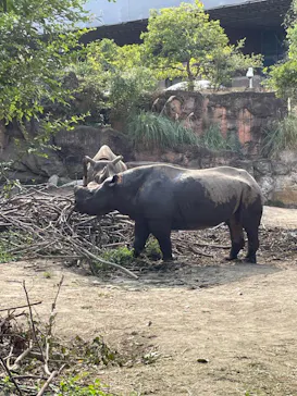 天王寺動物園に投稿された画像（2023/10/1）