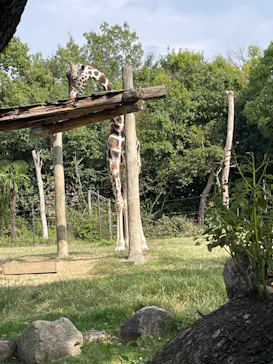 天王寺動物園に投稿された画像（2023/10/1）