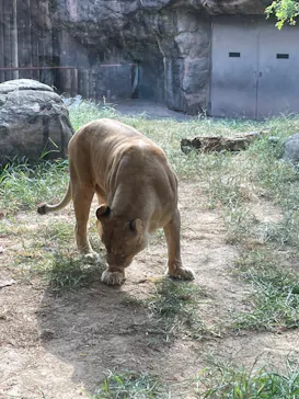 天王寺動物園に投稿された画像（2023/10/1）