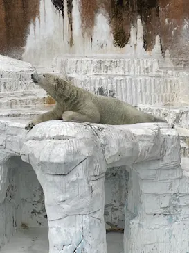 天王寺動物園に投稿された画像（2023/10/1）