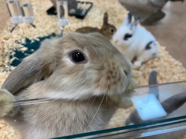 いきもの探検隊上尾に投稿された画像（2023/10/1）