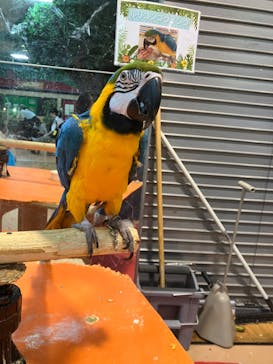 いきもの探検隊上尾に投稿された画像（2023/10/1）