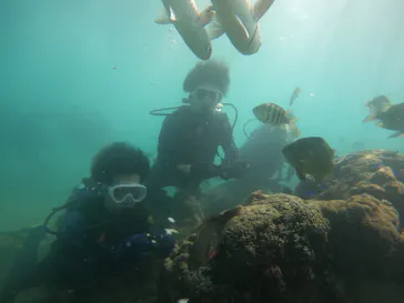 武藤潜水に投稿された画像（2023/10/1）