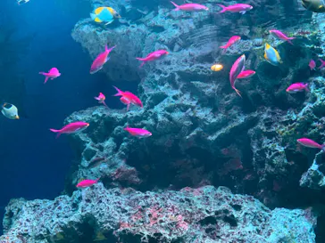 マクセル アクアパーク品川に投稿された画像（2023/10/1）