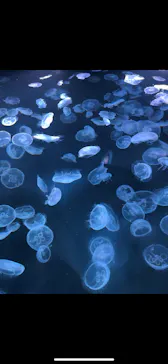 すみだ水族館に投稿された画像（2023/10/1）