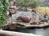 天王寺動物園に投稿された画像（2023/10/1）