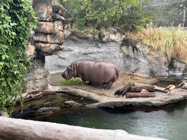 天王寺動物園に投稿された画像（2023/10/1）