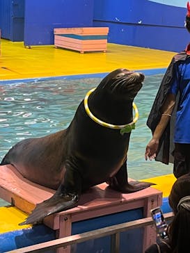 ゼロ距離水族館 伊勢シーパラダイスに投稿された画像（2023/10/1）