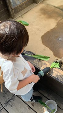 世界淡水魚園水族館　アクア・トトぎふに投稿された画像（2023/10/1）