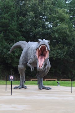 福井県立恐竜博物館に投稿された画像（2023/10/1）