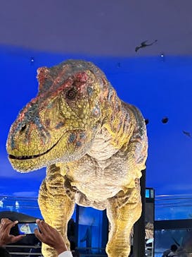 福井県立恐竜博物館に投稿された画像（2023/10/1）