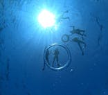 Sea World（シーワールド）に投稿された画像（2023/10/2）