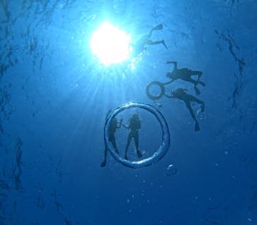 Sea World（シーワールド）に投稿された画像（2023/10/1）