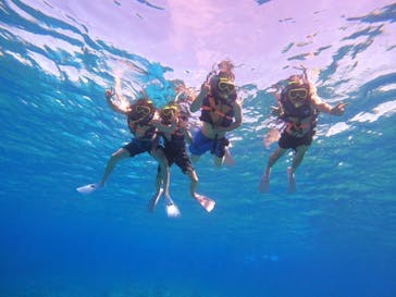 Sea World（シーワールド）に投稿された画像（2023/10/1）