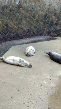 伊豆・三津シーパラダイスに投稿された画像（2023/10/1）