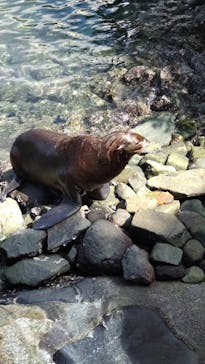伊豆・三津シーパラダイスに投稿された画像（2023/10/1）