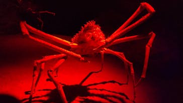 伊豆・三津シーパラダイスに投稿された画像（2023/10/1）