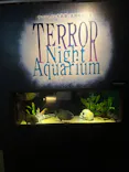 サンシャイン水族館に投稿された画像（2023/10/2）